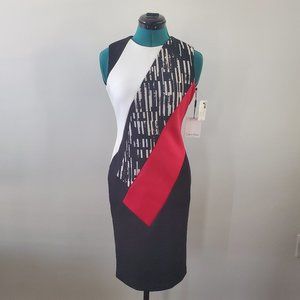 Calvin Klein Color Block Dress (Size 2)